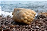 Seastone I by Bob Dawson, Sculpture, Stoneware
